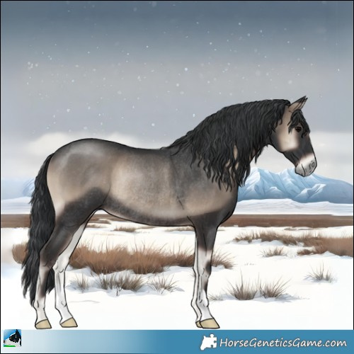 Horse Color:Blue Onyx Rabicano 
