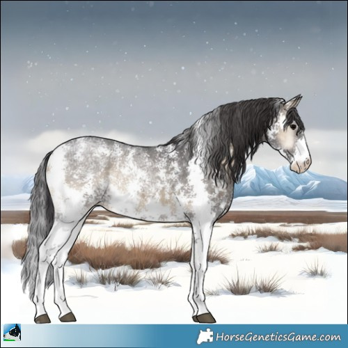 Horse Color:Smoky Blue Onyx Ice Sabino Appaloosa Rabicano 