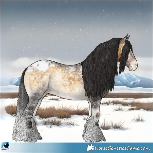 Horse Color:Buckskin Ice Onyx Appaloosa Rabicano 