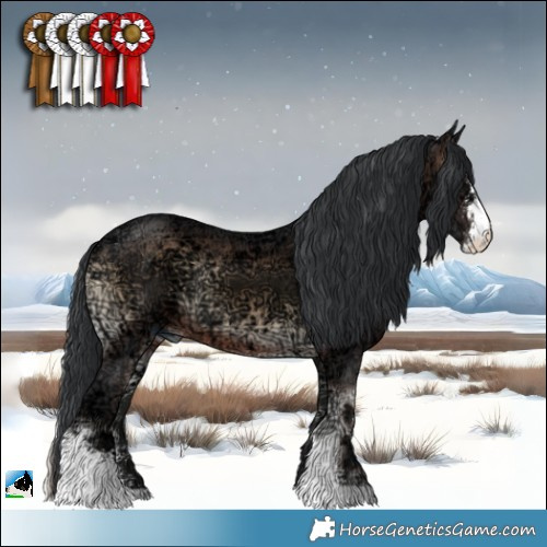 Horse Color:Brown Ice Onyx Sabino Rabicano 