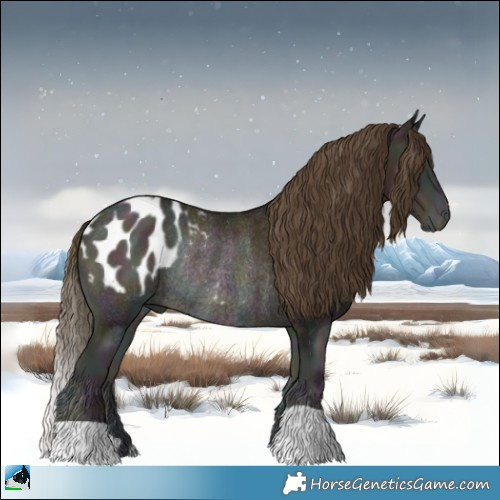 Horse Color:Midnight Buckskin Ice Pearl Onyx Appaloosa Rabicano 