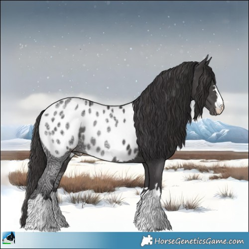Horse Color:Smoky Black Ice Appaloosa Rabicano 