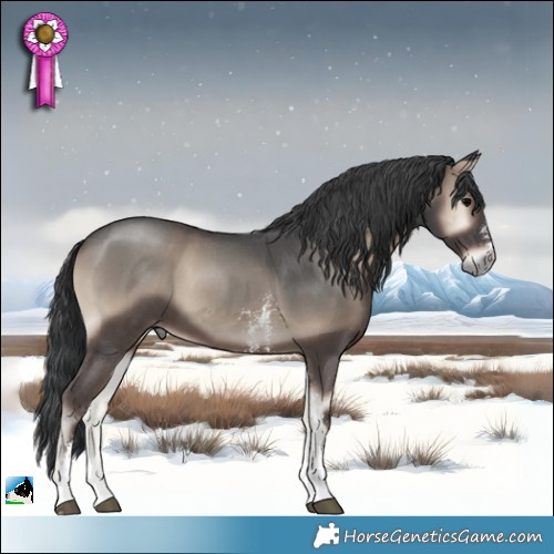 Horse Color:Blue Onyx Sabino 