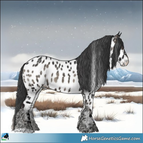 Horse Color:Blue Onyx Ice Appaloosa 