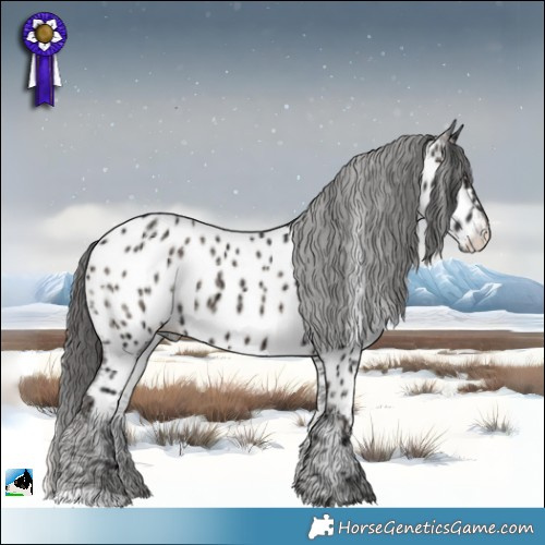 Horse Color:Blue Onyx Ice Appaloosa 