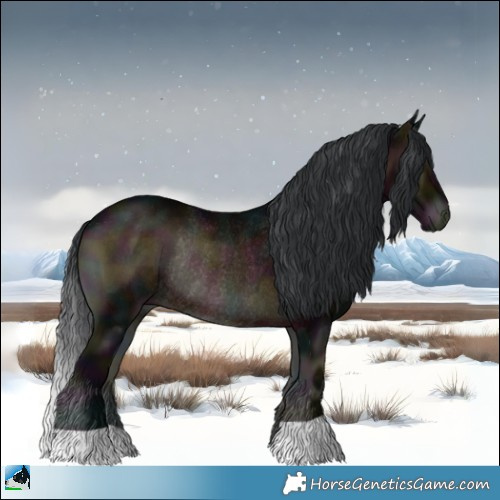 Horse Color:Midnight Brown Onyx Rabicano 