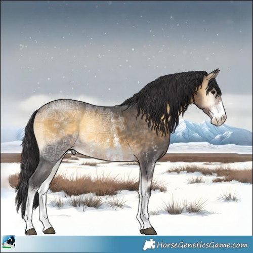 Horse Color:Buckskin Ice Onyx Sabino Rabicano 