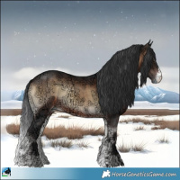 Horse Color:Brown Ice Onyx Sabino Rabicano