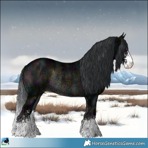 Horse Color:Midnight Brown Ice Onyx Sabino Rabicano 