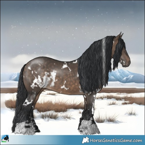 Horse Color:White Spotted Brown Dun 