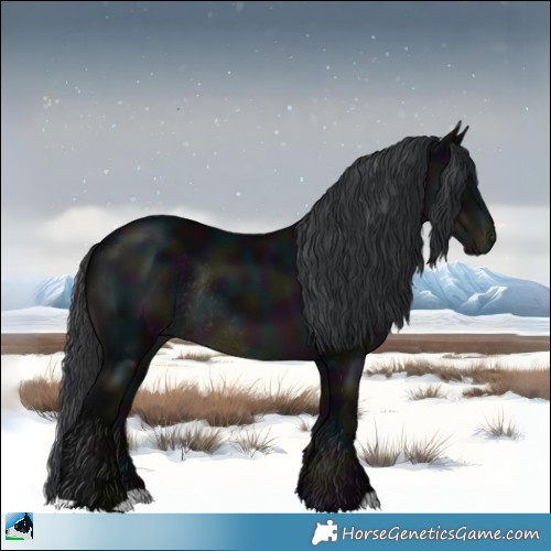 Horse Color:Midnight Black Appaloosa Rabicano 