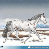 Horse Color:White Spotted Liver Red Onyx Mushroom Appaloosa Rabicano 