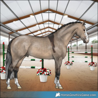 Horse Color:Brown Dun 