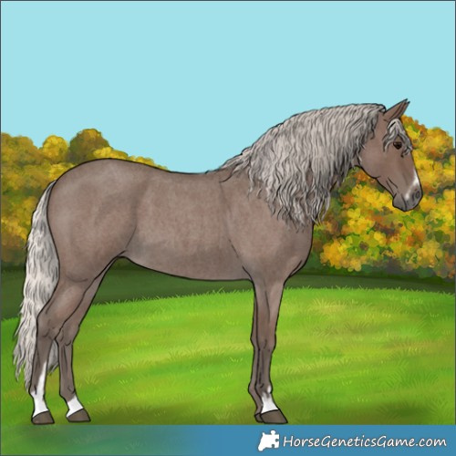 Horse Color:Silver Blue Roan Sabino