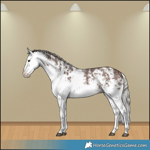 Horse Color:White Spotted Silver Brown Splash 