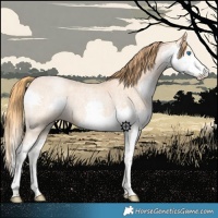 Horse Color:Red Roan Sabino Splash