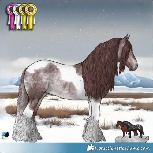 Horse Color:Chocolate Brown Chinchilla Tobiano Rabicano 