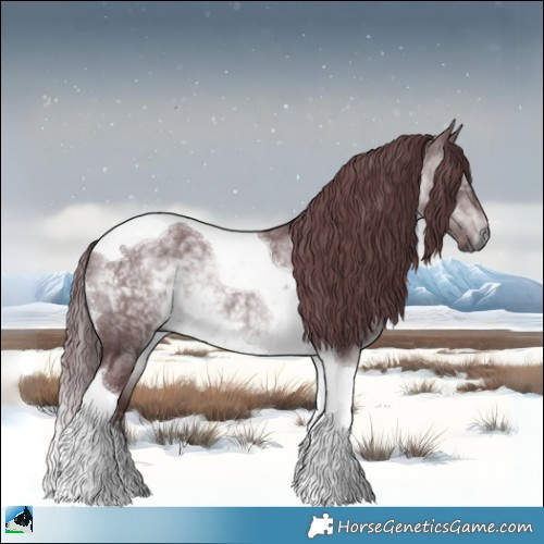 Horse Color:Chocolate Brown Chinchilla Tobiano Rabicano 