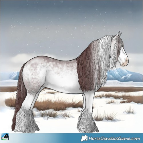 Horse Color:White Spotted Chocolate Bay Chinchilla Sabino Rabicano 