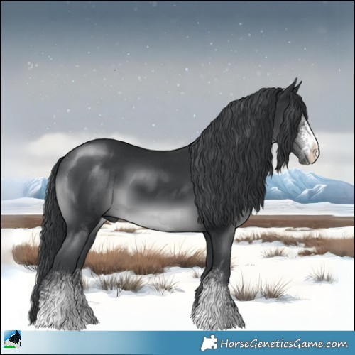 Horse Color:Black Chinchilla Sabino 