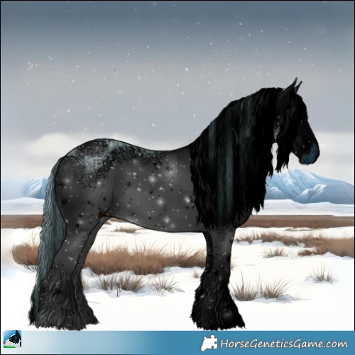 Horse Color:ERROR: UNKNOWN ANOMALY