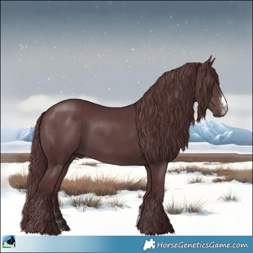Horse Color:Chocolate Black Sabino Rabicano 