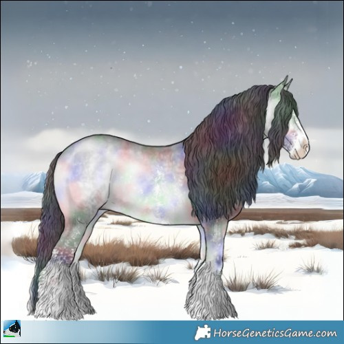 Horse Color:Nacre Brown Chinchilla Onyx Sabino Rabicano 