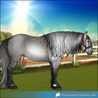Horse Color:Gray Grullo 