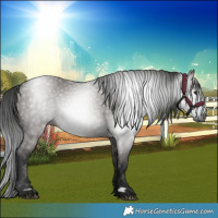 Horse Color:Gray Grullo 
