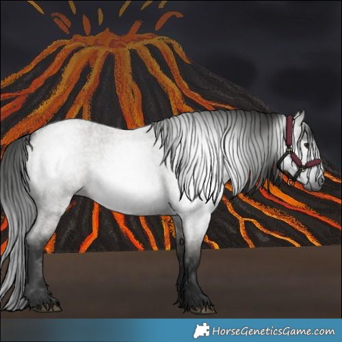 Horse Color:Gray Grullo Roan 