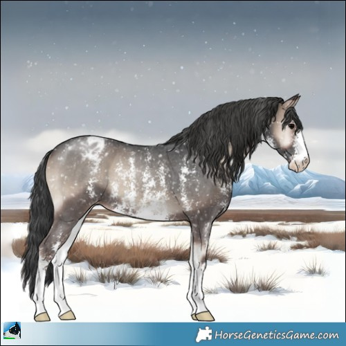 Horse Color:Blue Onyx Sabino Appaloosa Rabicano 