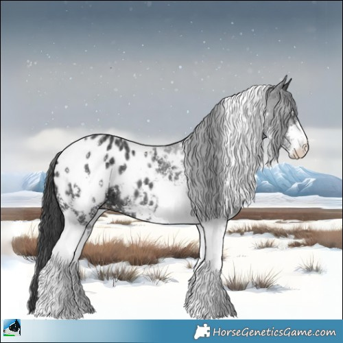 Horse Color:Black Ice Sabino Tobiano Appaloosa 