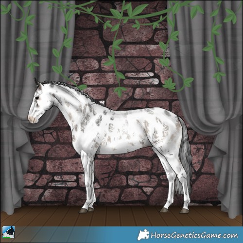 Horse Color:Blue Onyx Sabino Appaloosa Rabicano 