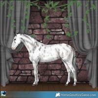 Horse Color:Blue Onyx Sabino Near Leopard Rabicano 