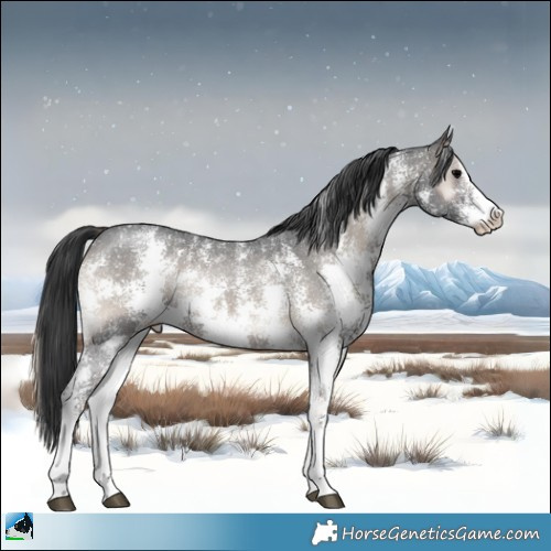Horse Color:Blue Onyx Sabino Rabicano 
