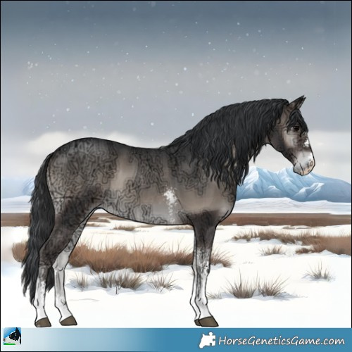 Horse Color:Blue Onyx Ice Mushroom Sabino 