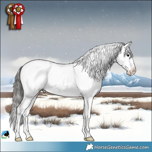 Horse Color:Black Ice Appaloosa 