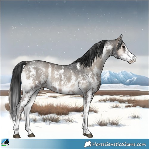 Horse Color:Blue Onyx Sabino Rabicano 