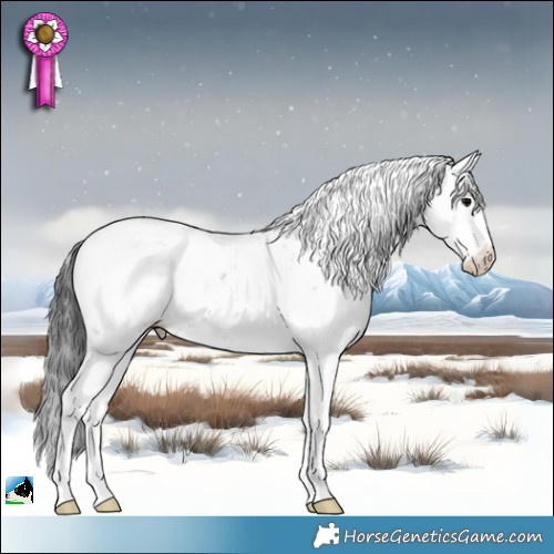 Horse Color:Black Ice Sabino Appaloosa 