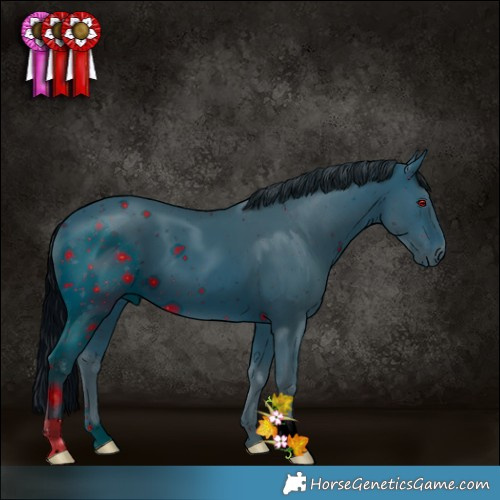 Horse Color:ERROR: UNKNOWN ANOMALY