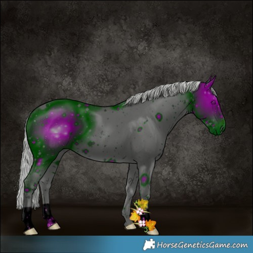 Horse Color:ERROR: UNKNOWN ANOMALY