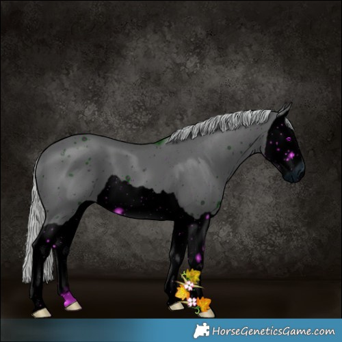 Horse Color:ERROR: UNKNOWN ANOMALY