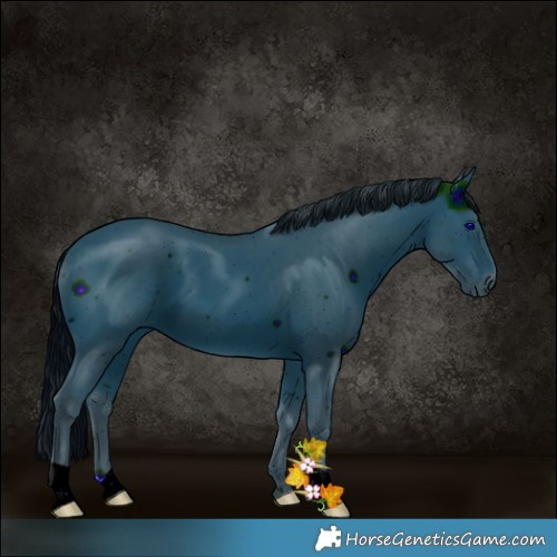 Horse Color:ERROR: UNKNOWN ANOMALY