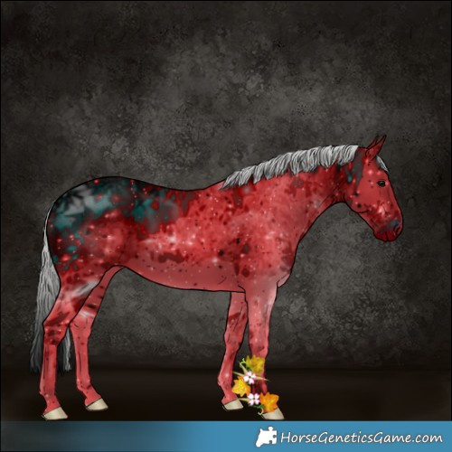 Horse Color:ERROR: UNKNOWN ANOMALY