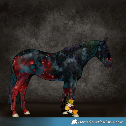 Horse Color:ERROR: UNKNOWN ANOMALY