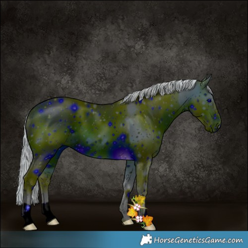 Horse Color:ERROR: UNKNOWN ANOMALY