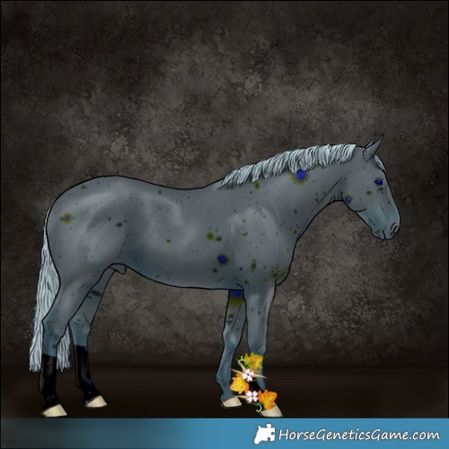 Horse Color:ERROR: UNKNOWN ANOMALY