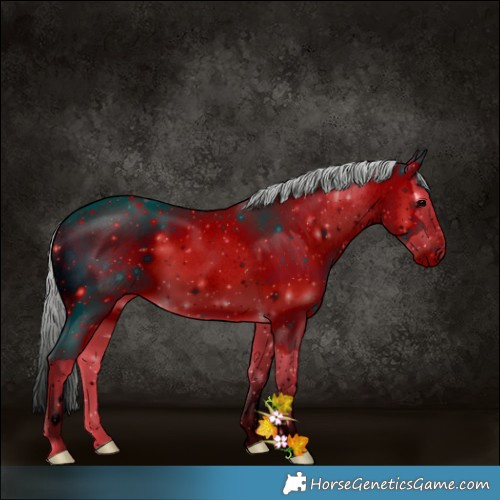 Horse Color:ERROR: UNKNOWN ANOMALY