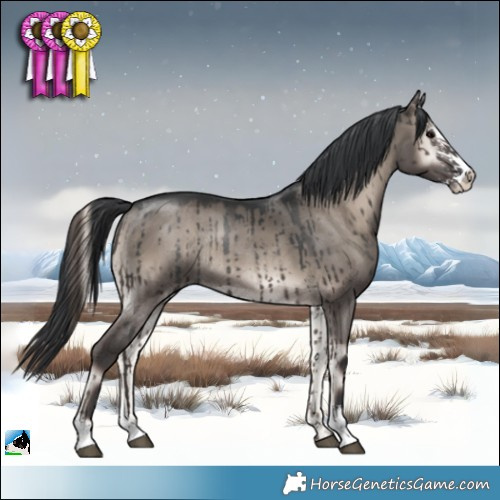 Horse Color:Grullo Onyx Mushroom Sabino Rabicano Brindle 