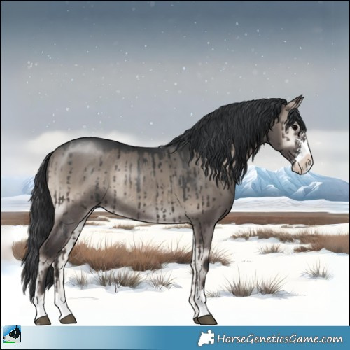 Horse Color:Grullo Onyx Mushroom Sabino Rabicano Brindle 